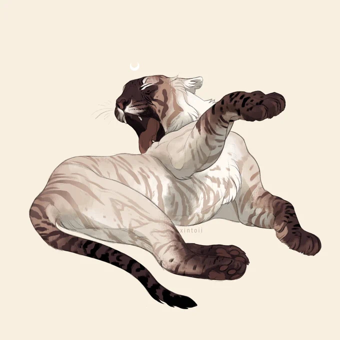 I love how goofy cats can look while grooming 
