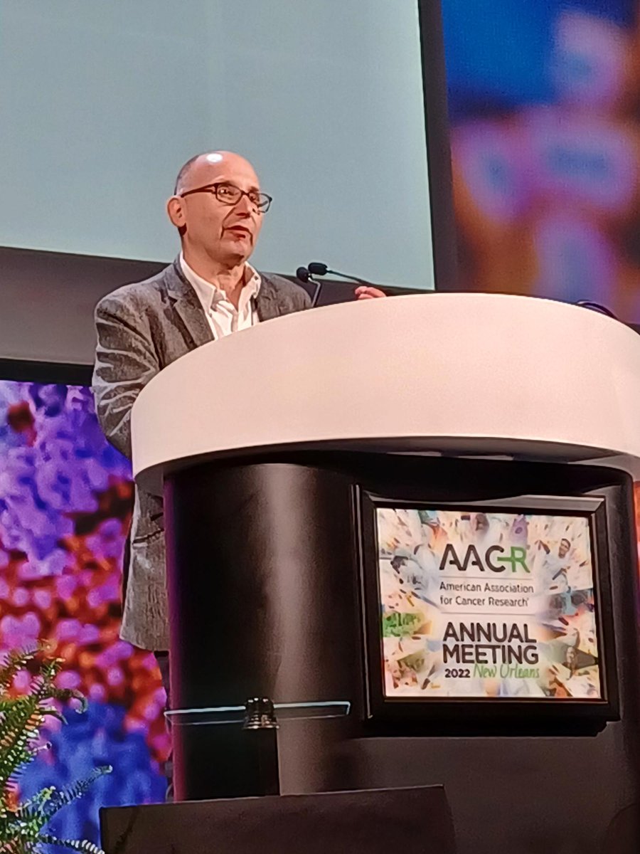 AACR (@aacr) on Twitter photo Michael Stratton, MBBS, PhD, FAACR, discusses "The pathogenesis of cancer susceptibility due to inherited DNA repair defects," at the #AACR22 Opening Plenary. <a href="/sangerinstitute/">Wellcome Sanger Institute</a> Michael Stratton, MBBS, PhD, FAACR, discusses "The pathogenesis of cancer susceptibility due to inherited DNA repair defects," at the #AACR22 Opening Plenary. <a href="/sangerinstitute/">Wellcome Sanger Institute</a>