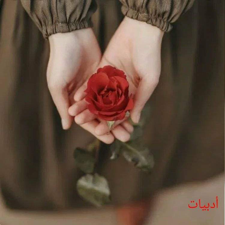 sallysaad82's tweet photo. #صورة_ملف_شخصي_جديدة https://t.co/APBmihlvy8