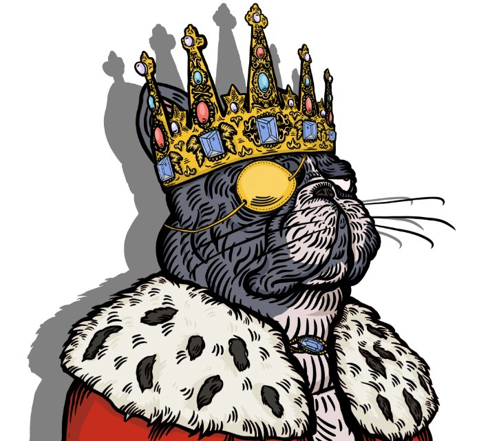 pranksy's tweet photo. Big update for @The_Picaroons can be found in the discord - https://t.co/83dcncgtIQ

Includes - Mint Date for #allowlist (early next week TBC)
Info on raffle draw 2.0 after 24 hours
Announcement of 3 unique crew sets including the Royals! - see @LucasAntics amazing art included! https://t.co/ks5XbEQZc3