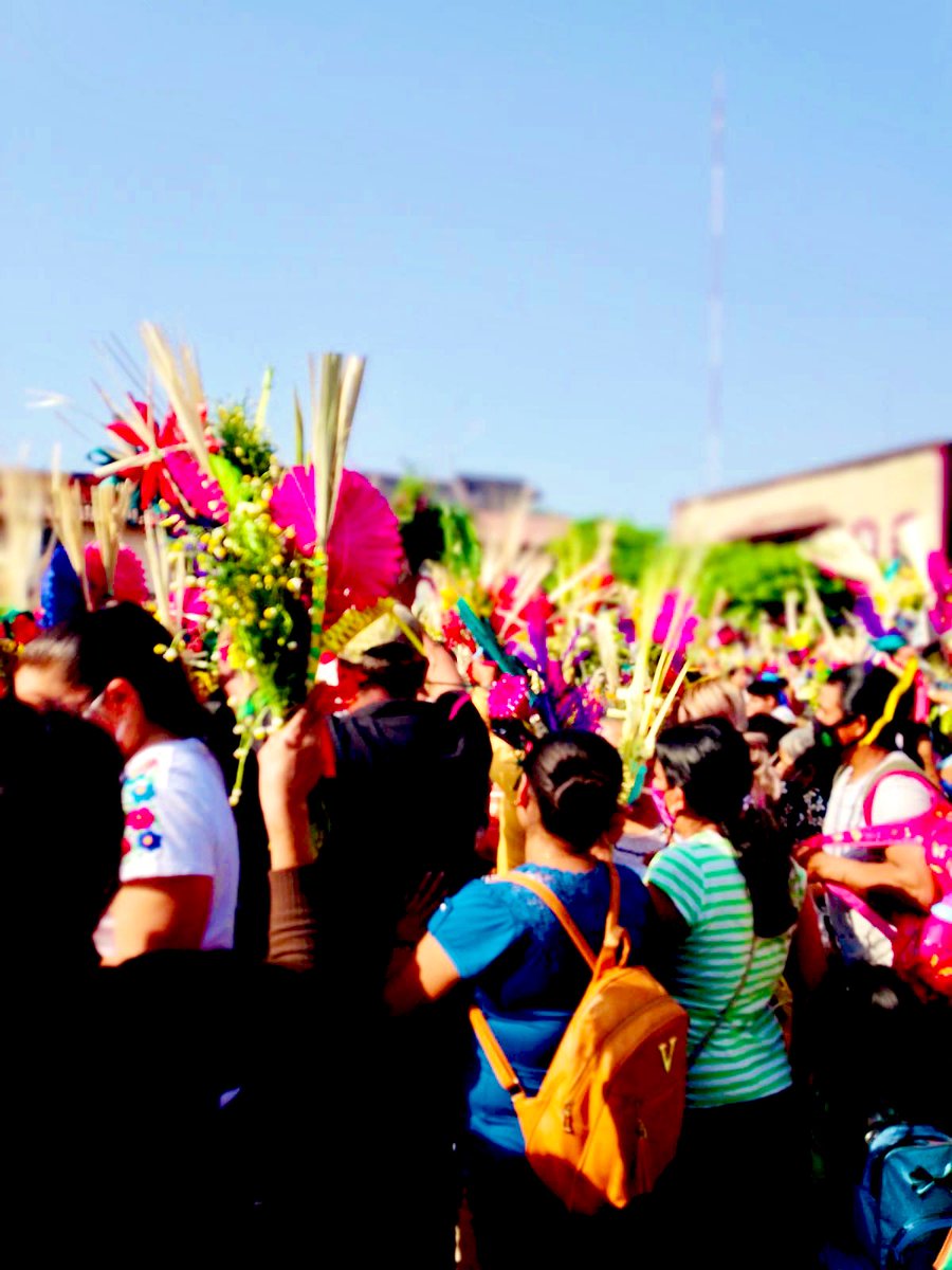 🔘Dar al Cesar lo que es del Cesar, y a Dar a Dios lo que es de Dios. Tradicional Domingo de “Bendición de Palmas” en la Huasteca.🌿🌿🌿🌼🌿🌿🌿 #Hidalgo2022