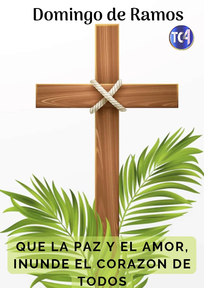 VictoriaTc4's tweet photo. Feliz, Bendecido y Maravilloso Domingo de ramos... Todos a compartir y bendecir nuestros hogares #DomingoDeRamos #SemanaSanta2022 https://t.co/VJq632ljxC