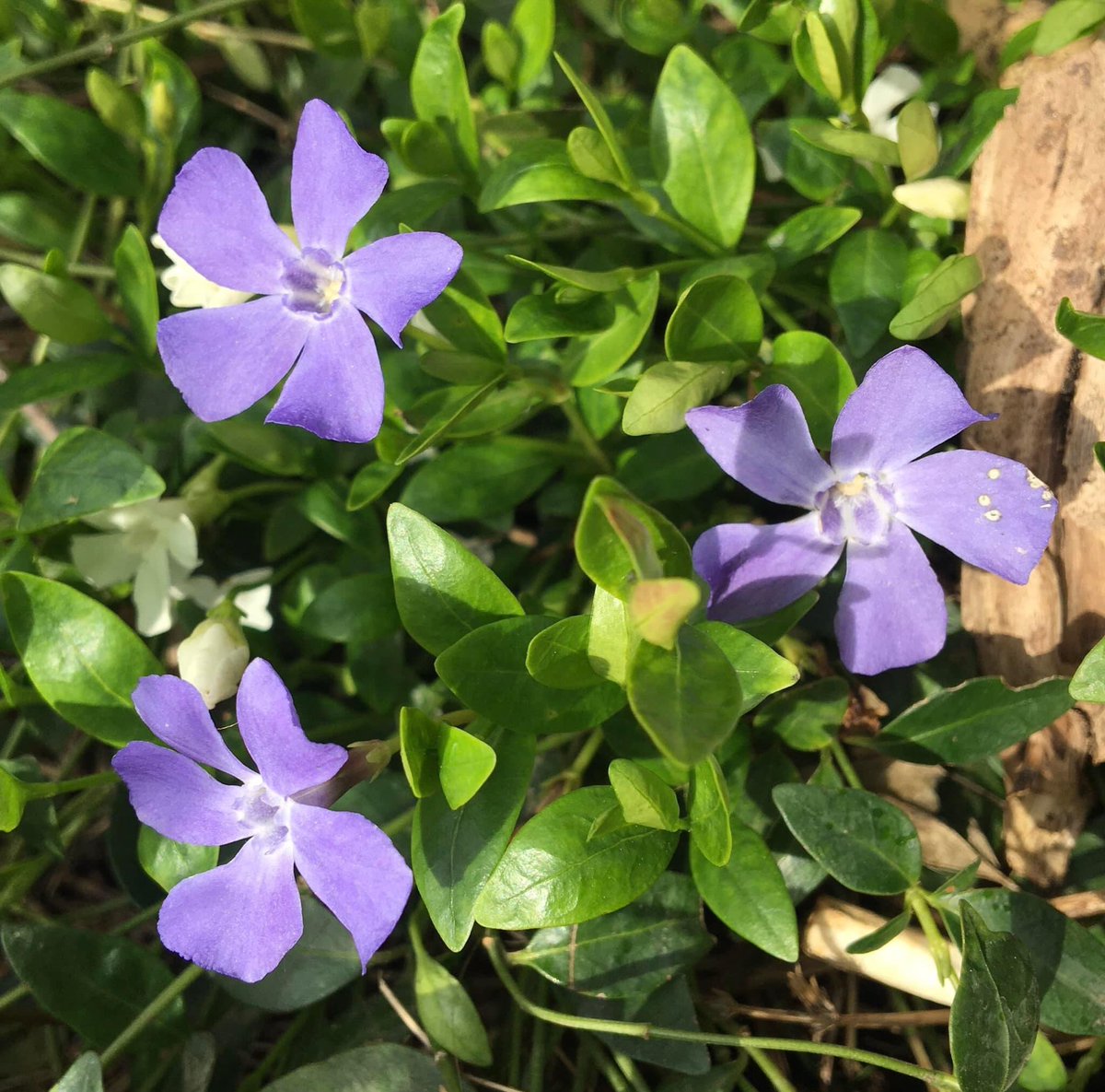 Ferhat U tweet media