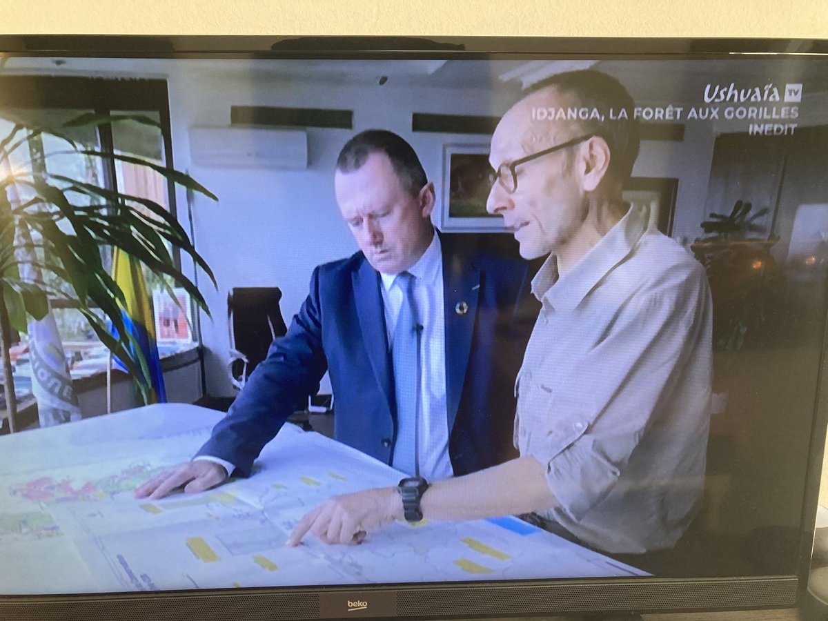 ForeignAx's tweet photo. Magnifique documentaire sur #LeSanctuaireDesGorilles #UshuaiaTv #Gabon https://t.co/2sVWqCwoXK