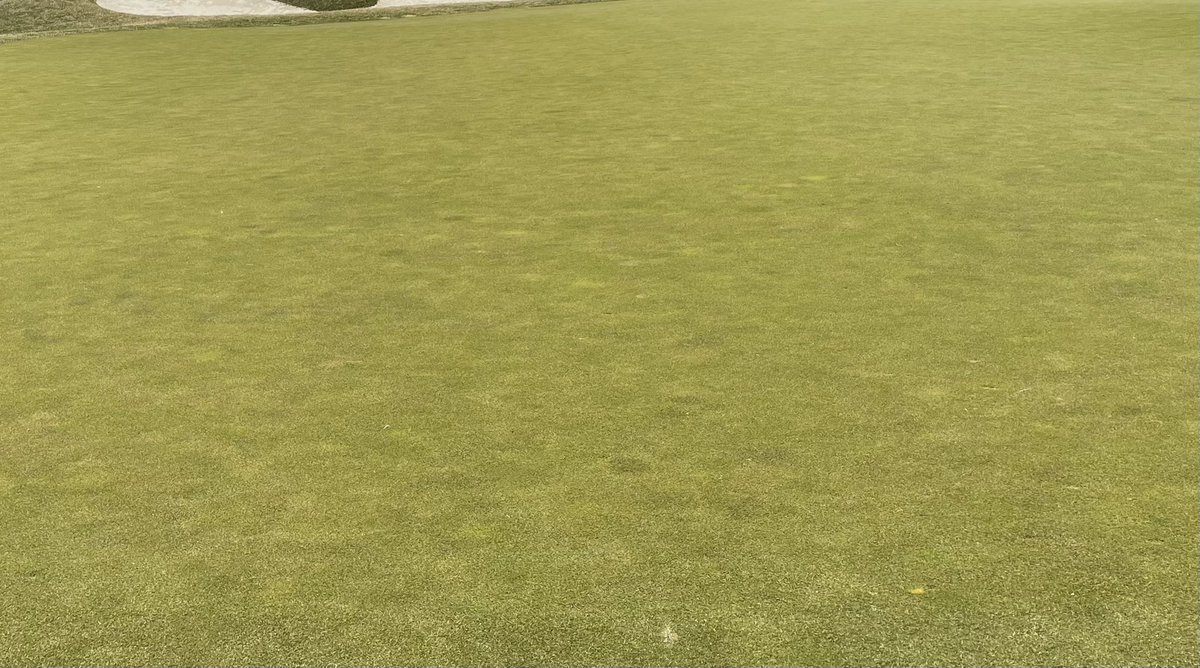 timster2x's tweet photo. Final round: who wins today and where on IGC? #theISpy https://t.co/wMfRNABiQx