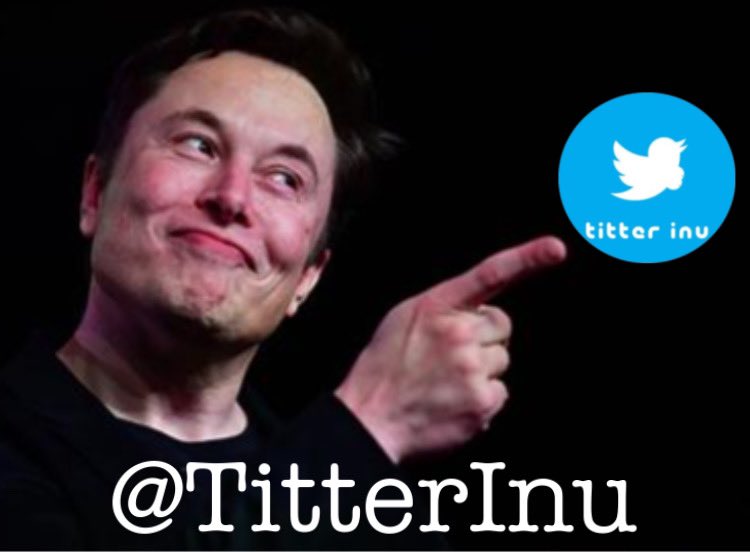 Bro_Moose83's tweet photo. @elonmusk #Titter @TitterInu https://t.co/HDVGtZhqIk