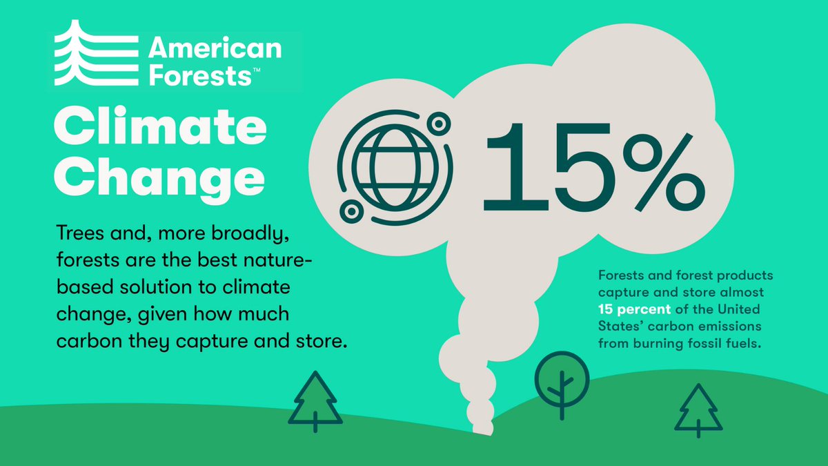 AmericanForests's tweet photo. Forests are the best nature-based solution to climate change. US forests and forest products capture &amp; store over 15% of US carbon emissions. They can capture nearly 2x as much through reforestation and using climate-smart practices to manage forests https://t.co/WLoBDOfRe4