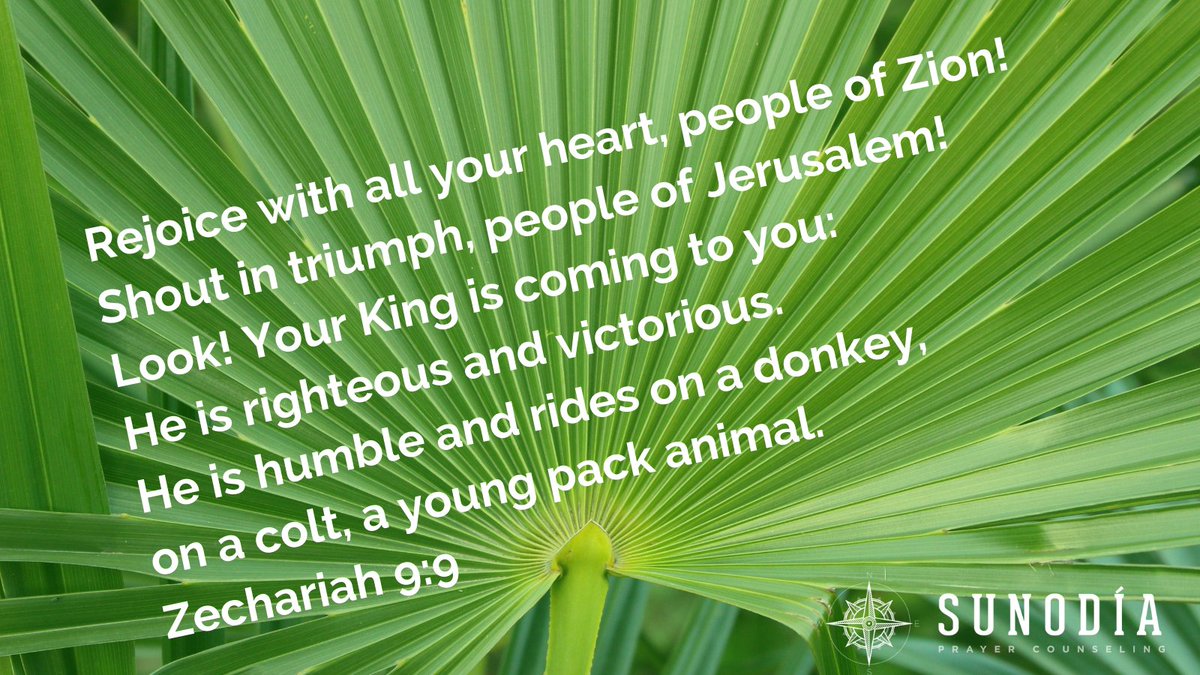 SunodiaPC's tweet photo. Happy Palm Sunday 💚 https://t.co/IzM1B4larx