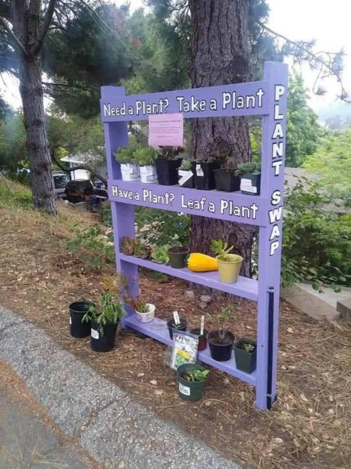 mrsawyerscience's tweet photo. I want to build one of these in my front yard. https://t.co/KLarzTJXqU