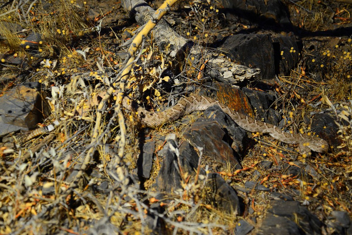 Trip To Blog tweet media