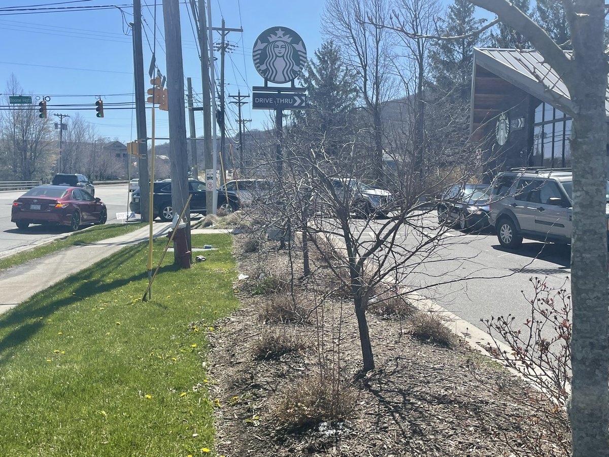 celises_pieces's tweet photo. @StarbucksCare please bring a 2nd Starbuck’s to Boone, NC. Growing rapidly urbanites to mountainites, university expanded, vacationers all year. This is the daily here #BooneBoom https://t.co/X6gjxu3rvG