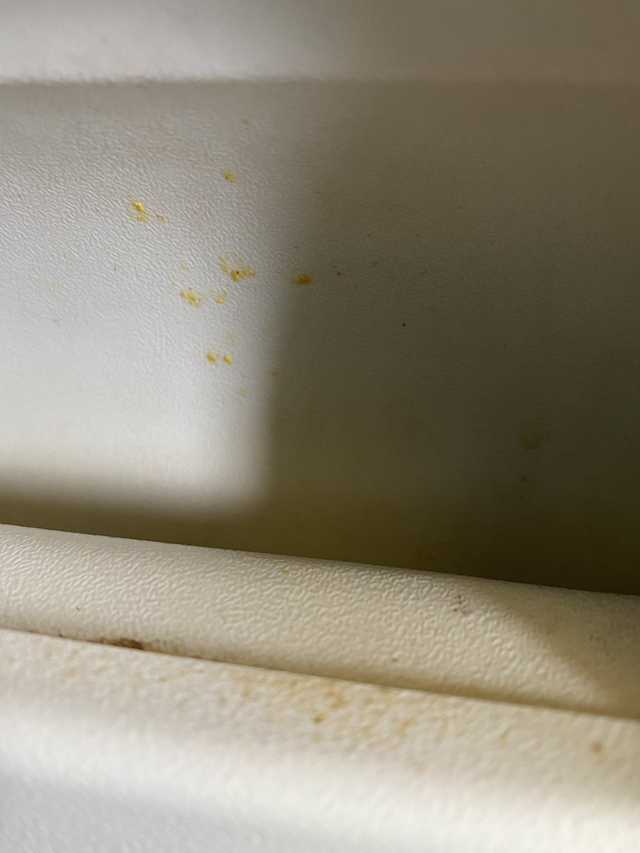 prachichd's tweet photo. Just boarded an international @airindiain flight. Dirty, damaged and unkept. #dirty #disappointed #AirIndia https://t.co/vMAKKRyExb