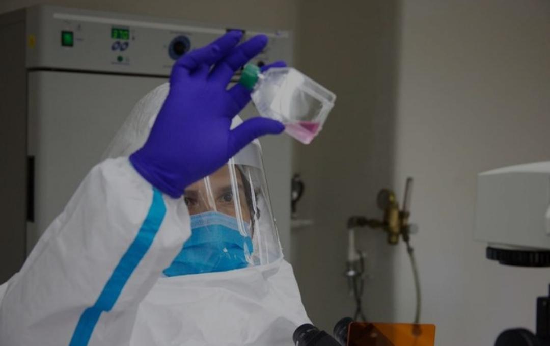mhenriquezvzla's tweet photo. En el Día Mundial de la Ciencia y Tecnología extiendo mi reconocimiento a los investigadores e investigadoras, quienes con sus conocimientos fortalecen la actividad científica al servicio de la humanidad. ¡Innovando por nuestro pueblo!  @NicolasMaduro #InicioDeLaSemanaMayor https://t.co/L6r9YbmeVf