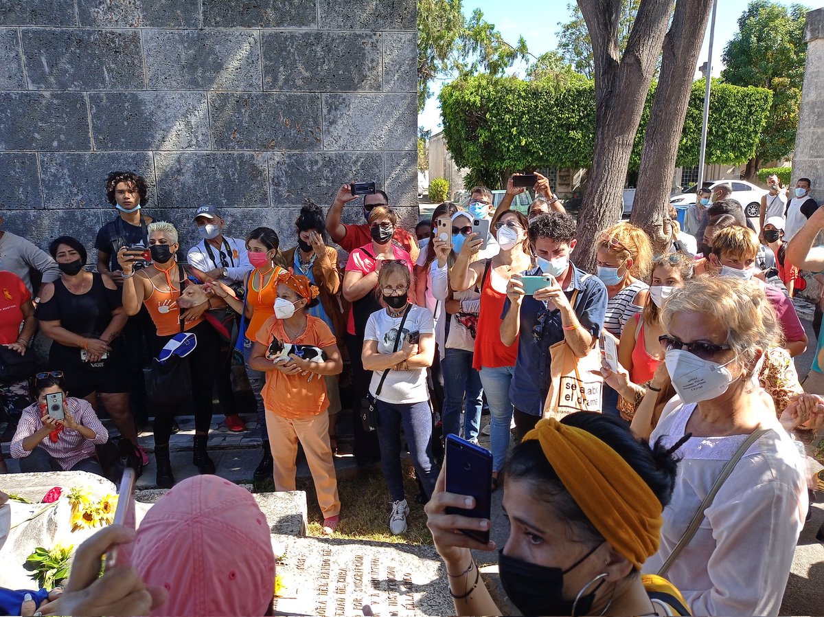 bac_org's tweet photo. 🧡DÍA DEL PERRO🧡

LO LOGRAMOS‼️‼️‼️

JUNTOS POR EL BIENESTAR ANIMAL

JUSTICIA!!! DÍA HISTÓRICO https://t.co/07hfSDLtui