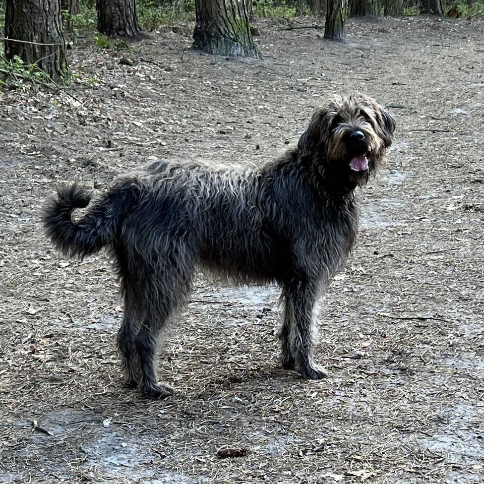 Andauernd muss ich auf den Chef warten...