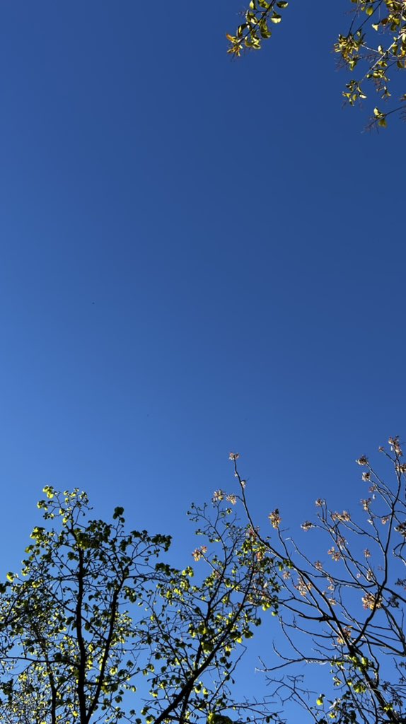 El cielo a las 18:30h del 10 de abril de 2022…#maravilla #meencantalaprimavera 🌾