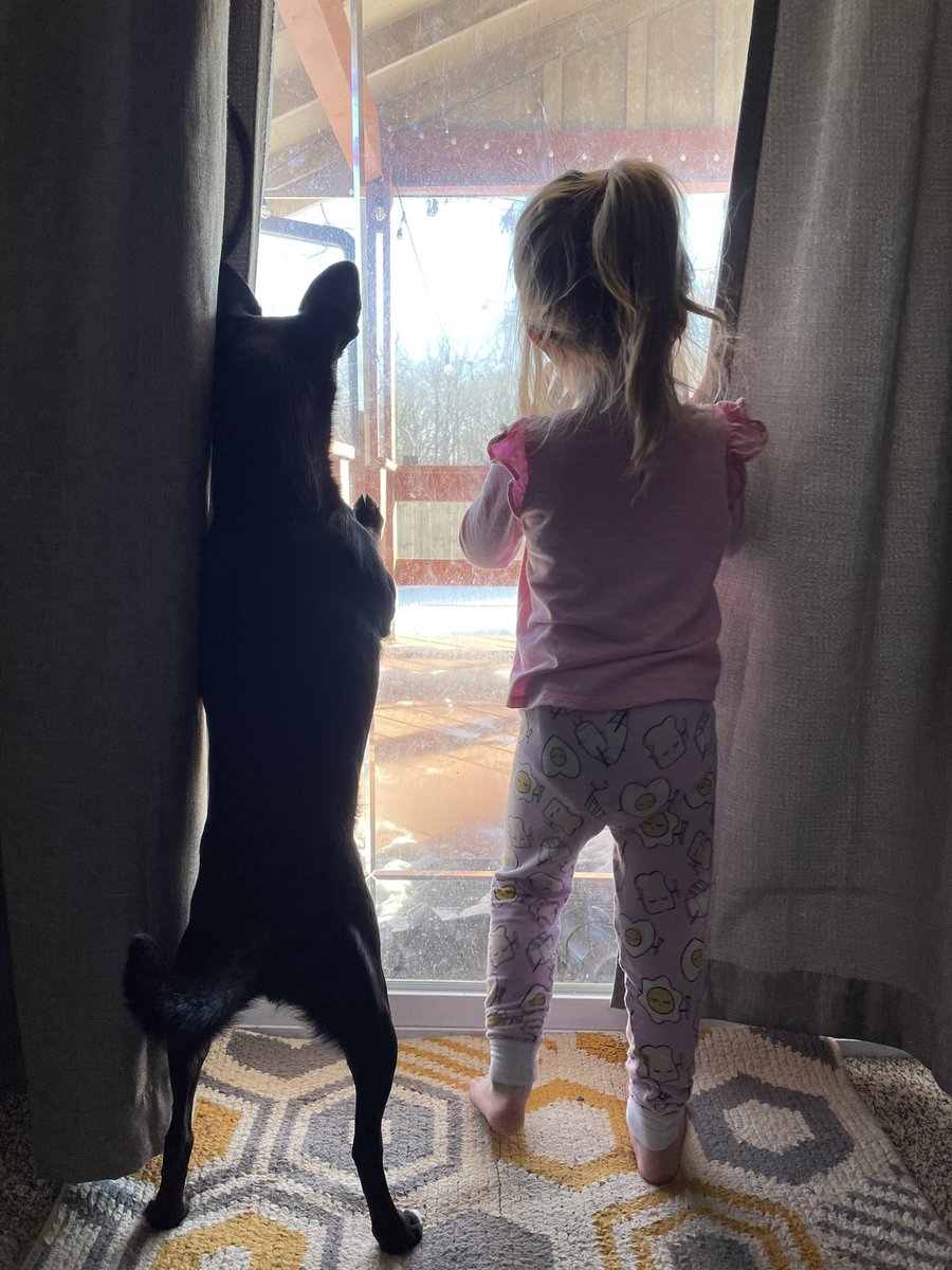 ashleyaruss's tweet photo. @DanRather https://t.co/YvEWunvvEE