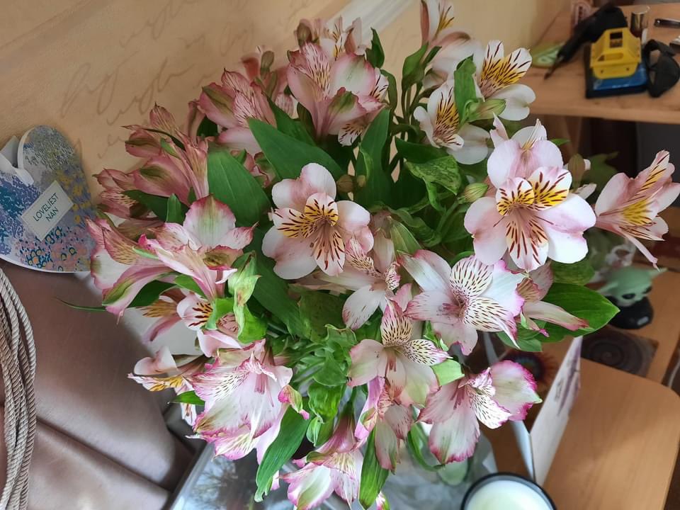 LibbyLibby901's tweet photo. Sent some beautiful flowers to one of my dearest friends and she absolutely loved them 🙂👍 Thank you muchly #CrosslandsFlowerNursery @AlstroemeriaBen https://t.co/o2fcYg8mJF