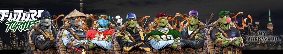 Future Turtles | 1st Drop Complete! tweet media