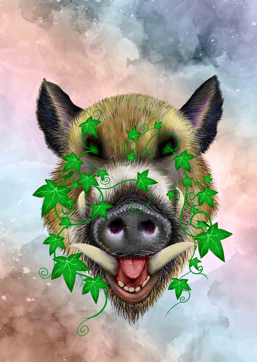 The King Boar Club tweet media