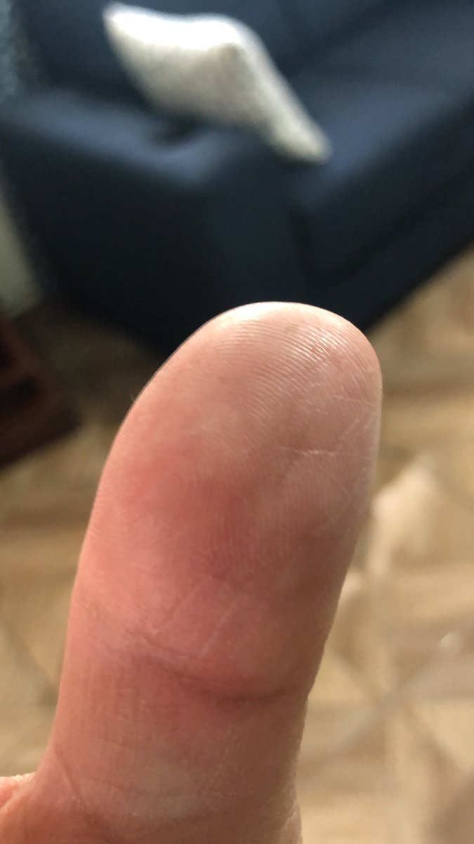 Mac_qro's tweet image. Cumpliendo en este día de circo #amlo #noalego