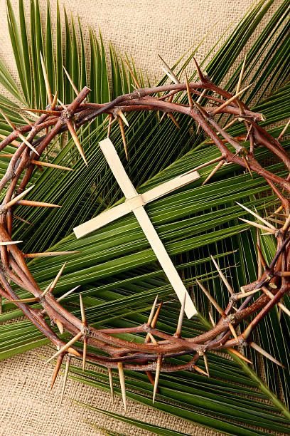 chikis1_chikis's tweet photo. Damos inicio a la Semana Santa.
Que Dios los bendiga. https://t.co/WwYp2nF62p
