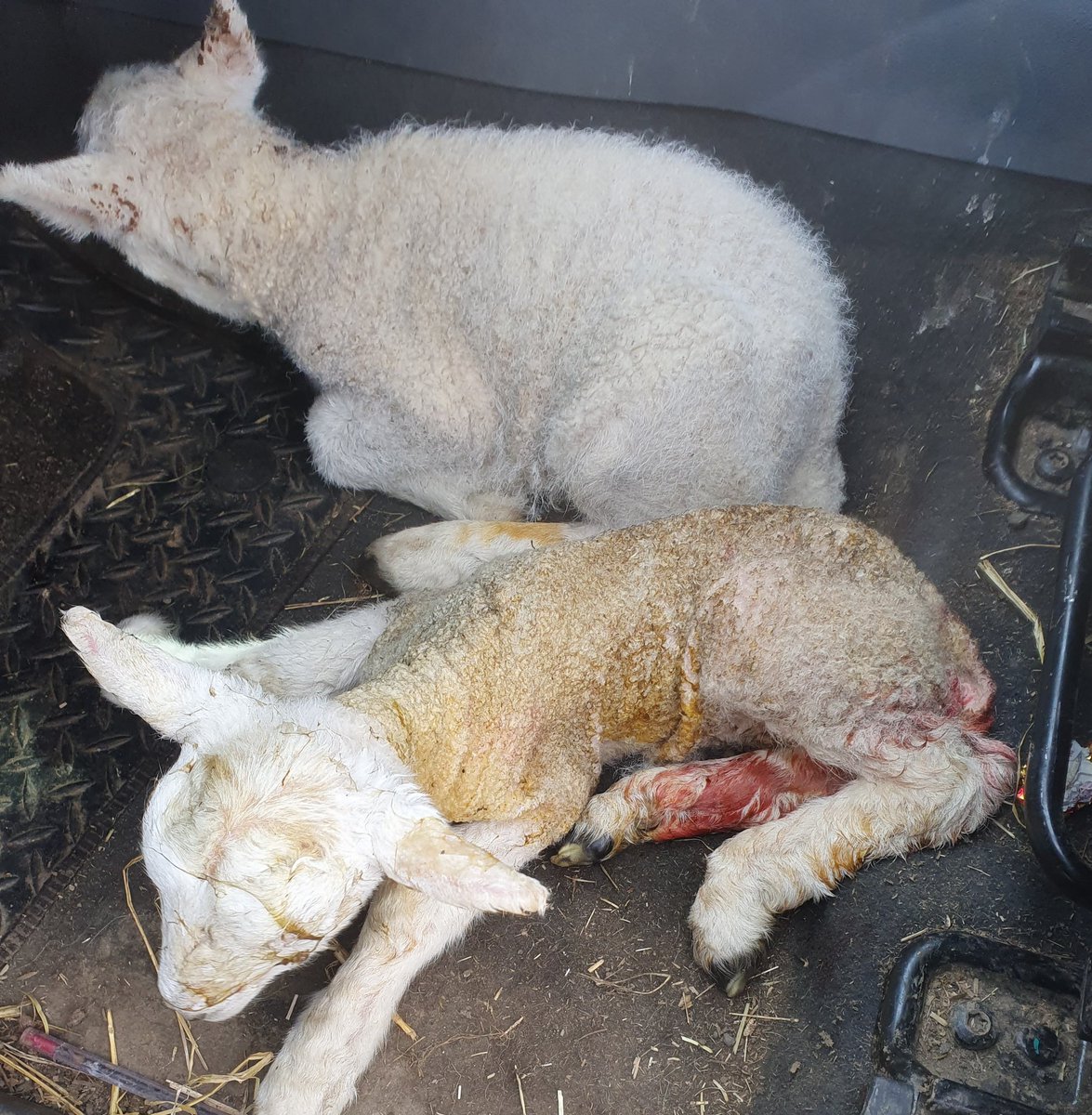 Niall Blair tweet media