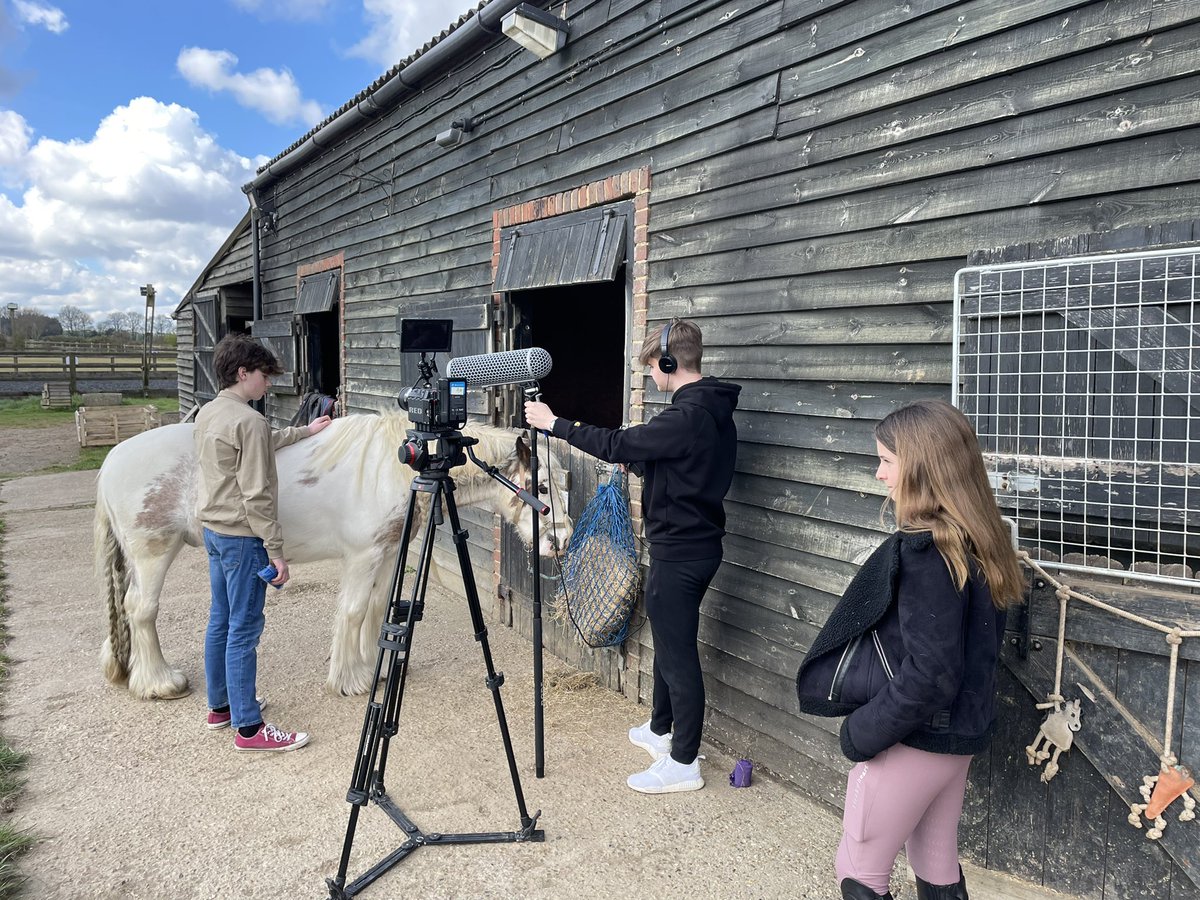 Filming showreels today with horses! We’ll be taking bookings soon