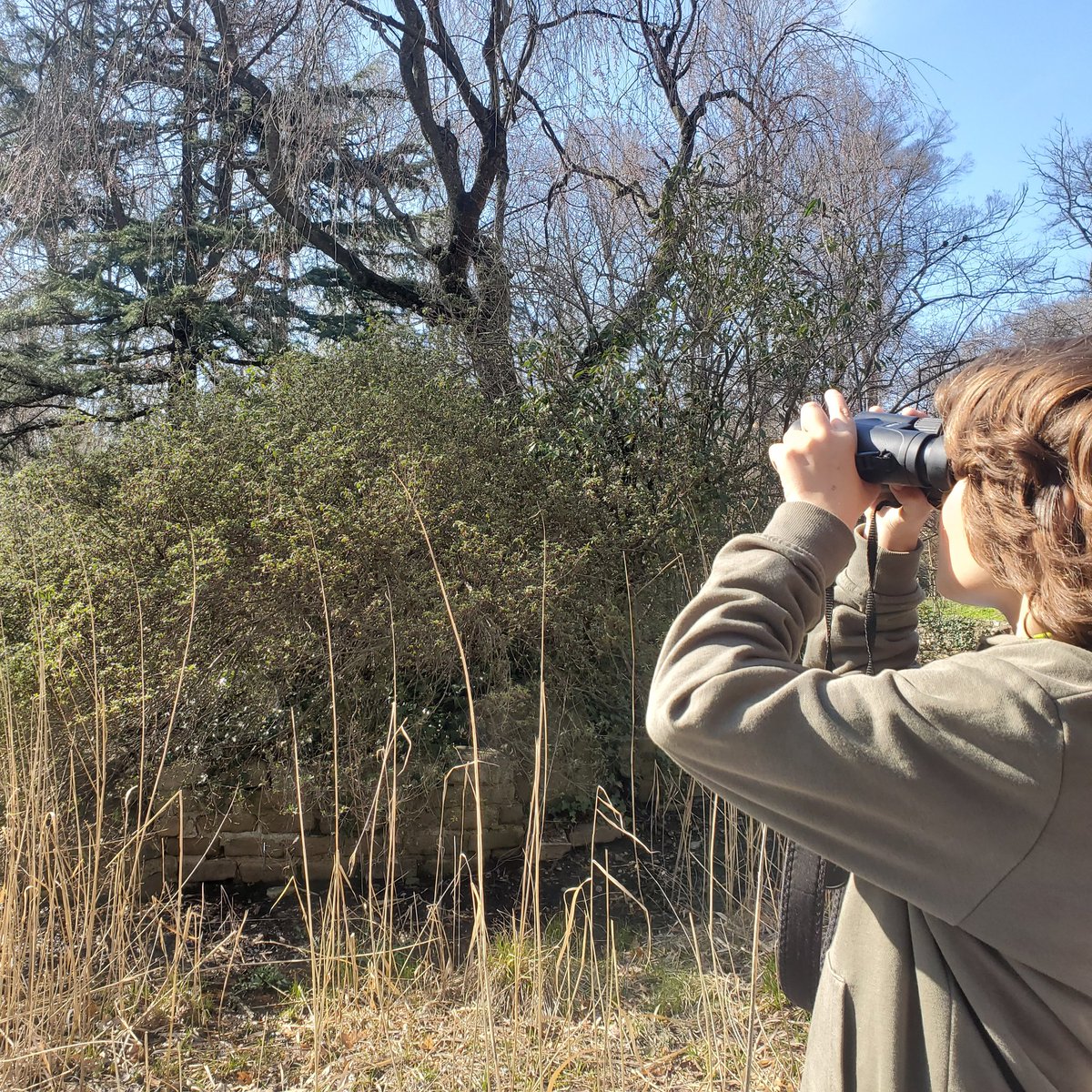LynaSaid's tweet photo. Never leave home without all your lenses. Little bro observing NYC nature https://t.co/76j0ca3q5T