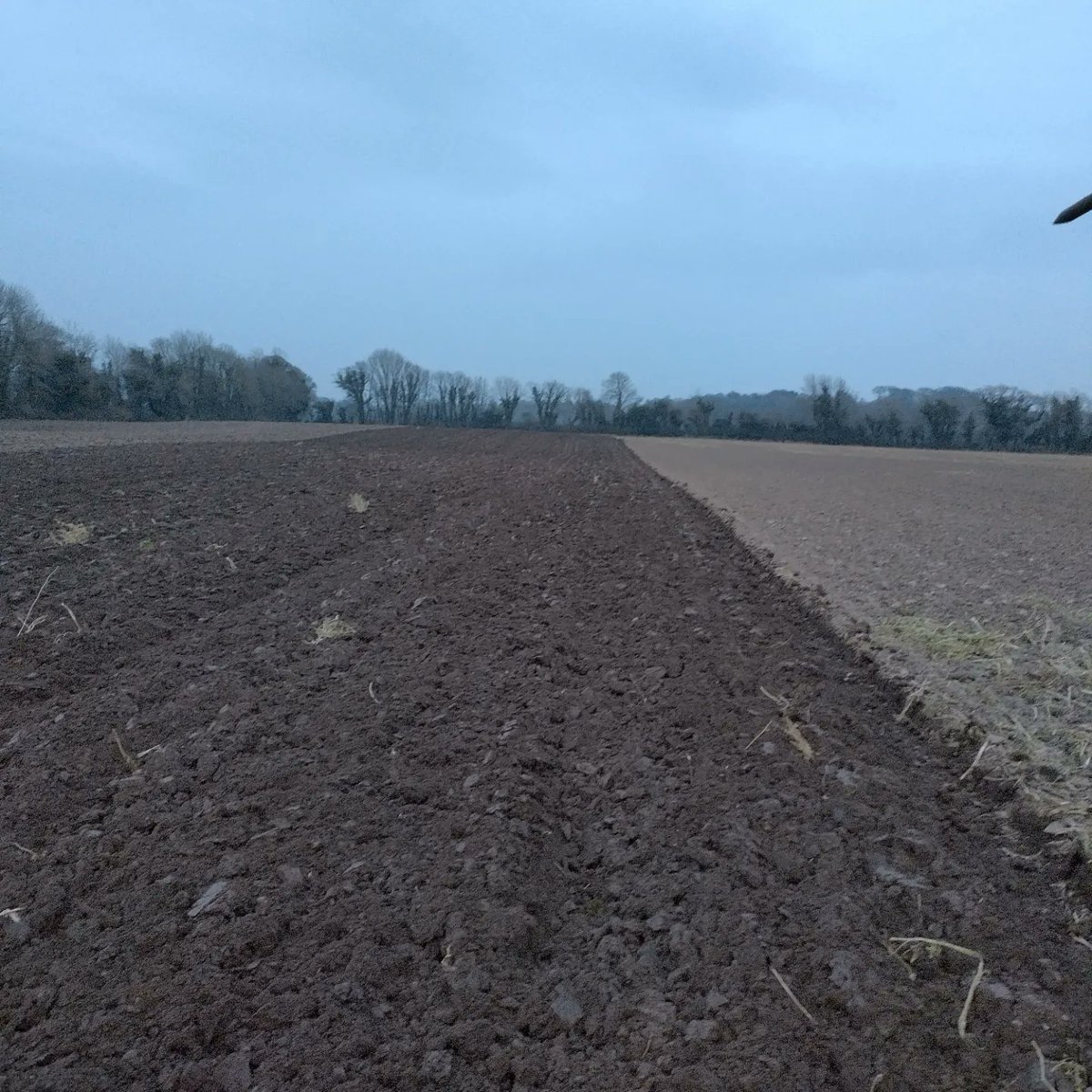 MauriceDeasy's tweet photo. Where the cover crop grew soil is breaking up alot better so it's showing us the work the cover crops are doing. With the price of diesel far better to have soil worked by roots that steel and diesel. #keepitcovered https://t.co/CGLj8U9s5H