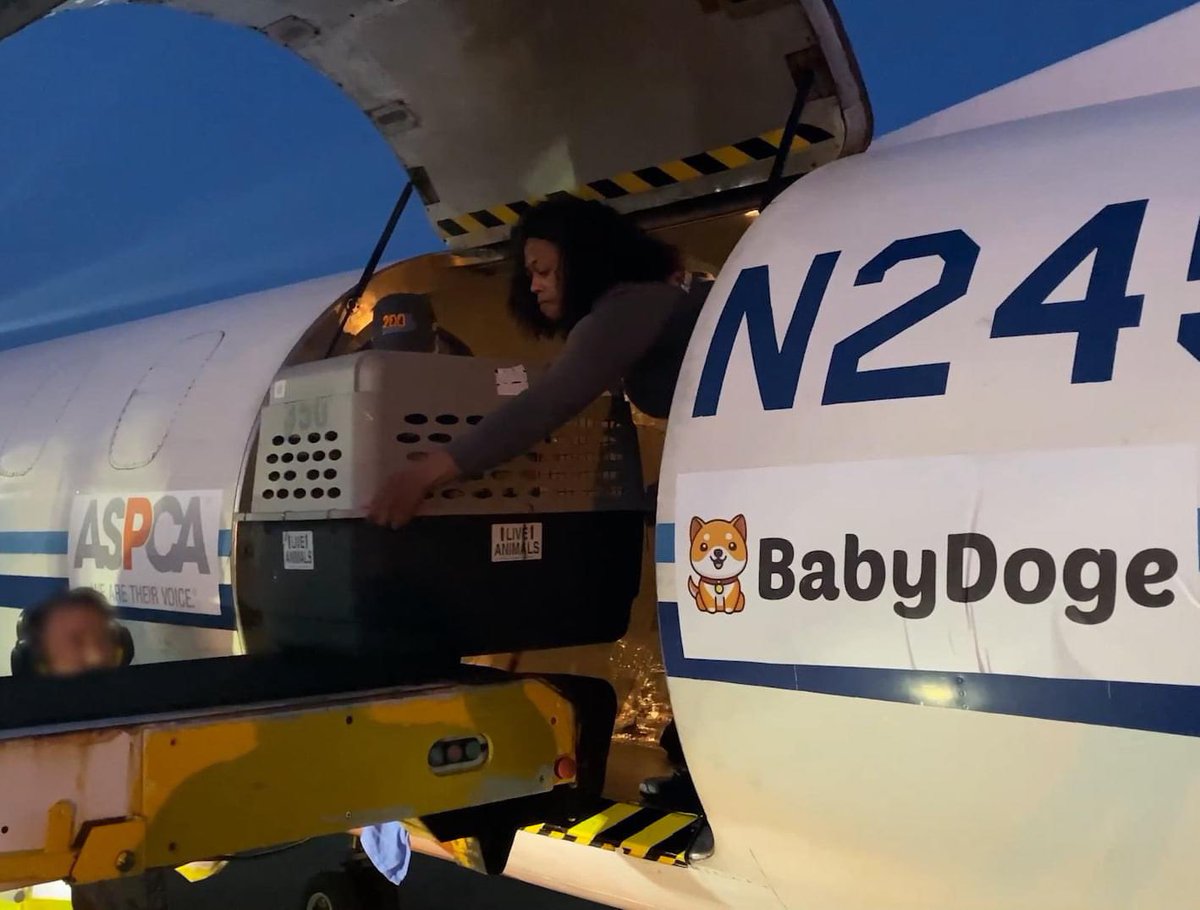 Ben_000777's tweet photo. What #BabyDoge is all about ❤️

#BabyDoge Donates $25K To Help Save Ukrainian Refugees' Pet Animals 🐶

Baby Doge Donations in 2021:

furkidsinc $20,000
PawswithCause $75,000
Bestfriends $100,000
AnimalLeague $150,000
ASPCA $200,000
HumaneSociety $205,000

https://t.co/DmEsOVF7Mx https://t.co/XwUtvjNaqz