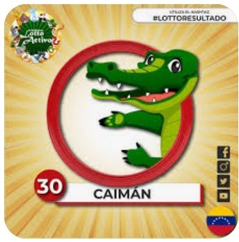 PabloJota27's tweet photo. ((( #REGALOLOTTO ))) Para Seguir Dictando Catedra Con Este Enjaulado Que Lleva 2 Semanas Sin Salir Y Estadisticamente, Por Numeros E Informacion #HOYSIIIIII Debe Salir Con TooDoo SIN MIEDO NI TEMOR; #VamosAJugar #VamosALigar #VamosAGanar Y #VamosACobrar "VENTE CAIMAN VIEJA" https://t.co/YHbjCGqZoF