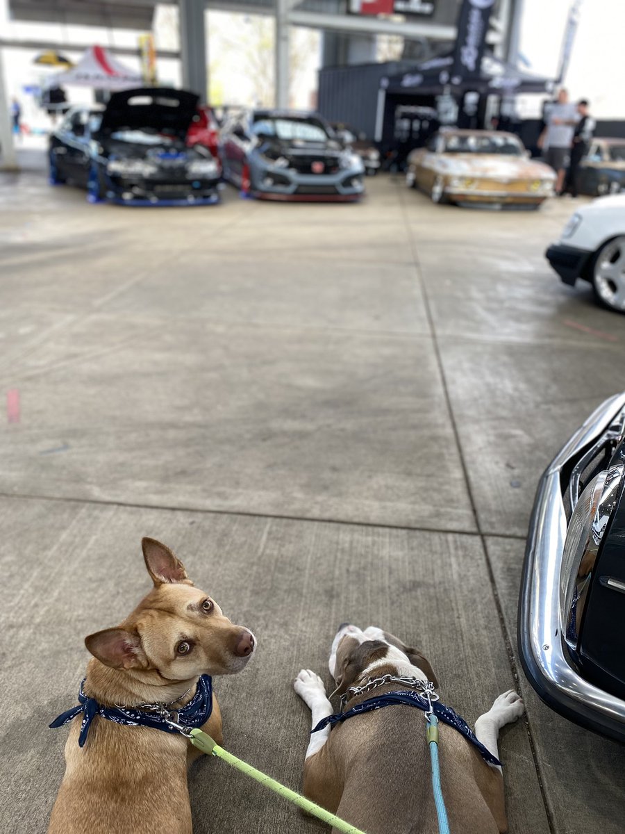 gypsyxrose666's tweet photo. Thanks @riversidemeet for having me and my boys. 
We had a blast!
Till’ next year! https://t.co/d5HdVxz1qN