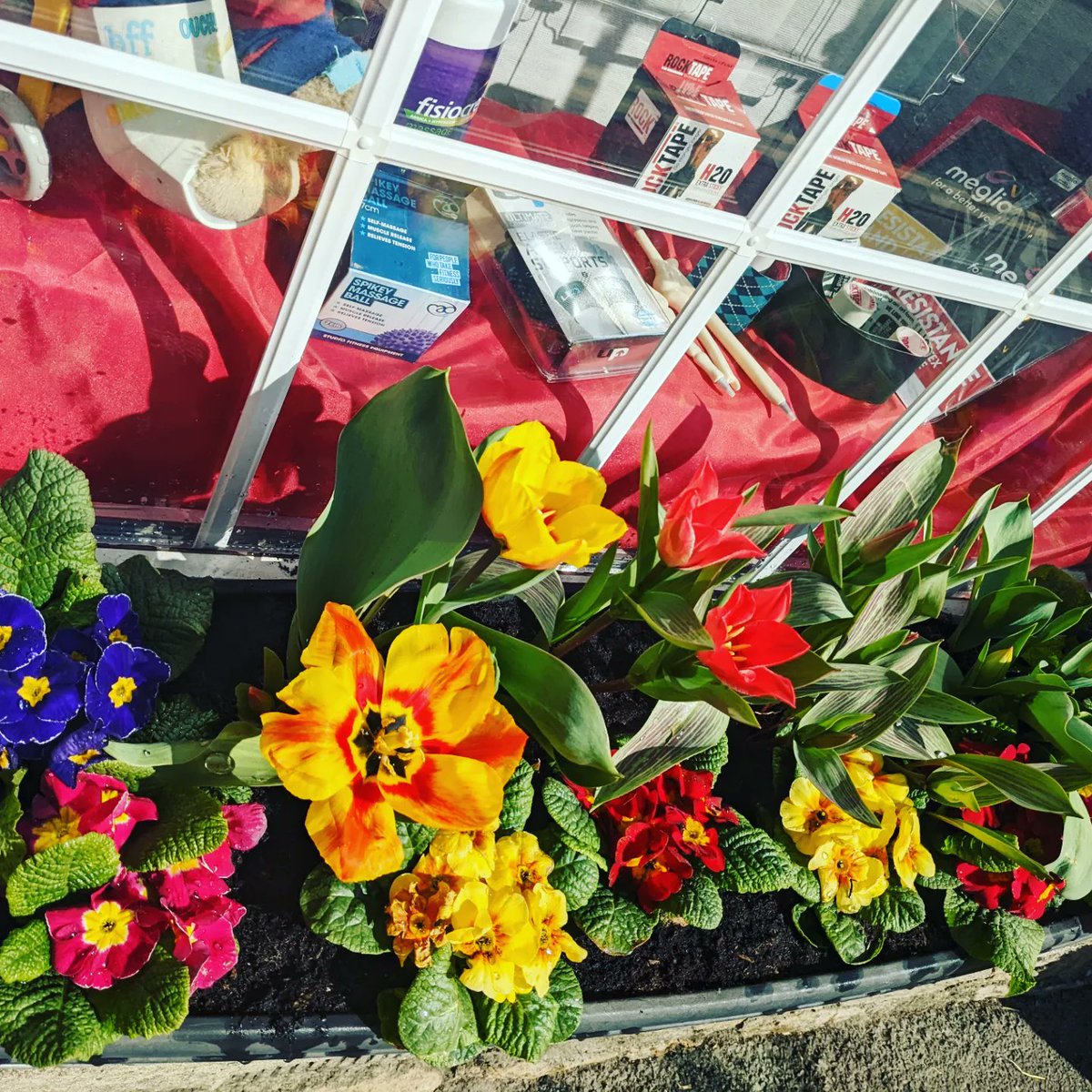FairfordTherapy's tweet photo. Happy Springtime #springtime #springtimeflowers #sunnybutcold #sunshine https://t.co/rtci2cNVl8