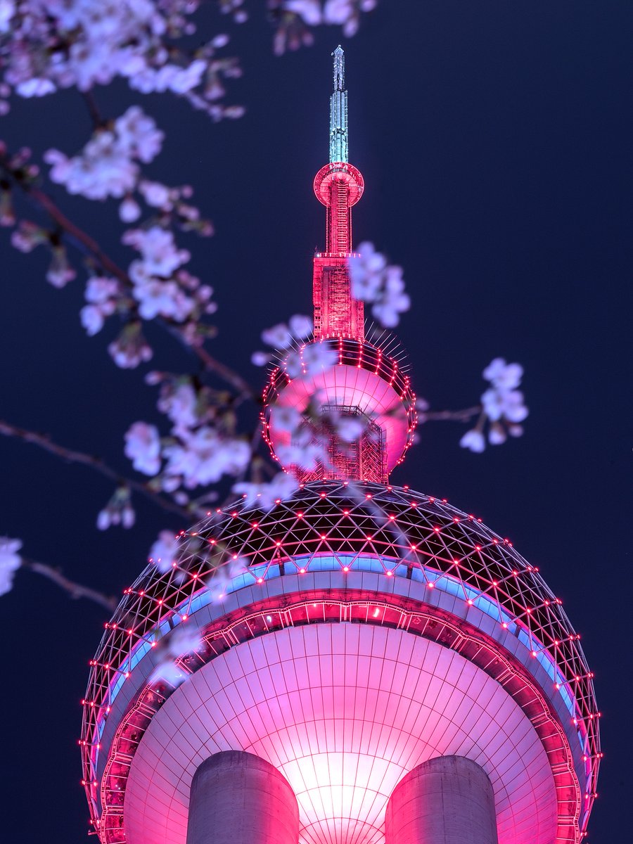 ShanghaiEye's tweet photo. Night cherry blossom 🌸 with the Pearl Tower in pink. It’s the romance of this tough but special spring in Shanghai. Enjoy your weekend! 💘
#cherryblossom #cherryblossoms #sakura #sakurablossom #flowers #flowerbloom #pink #pearltower #pinklight #nightview #spring #springflowers https://t.co/A853ahnx3N