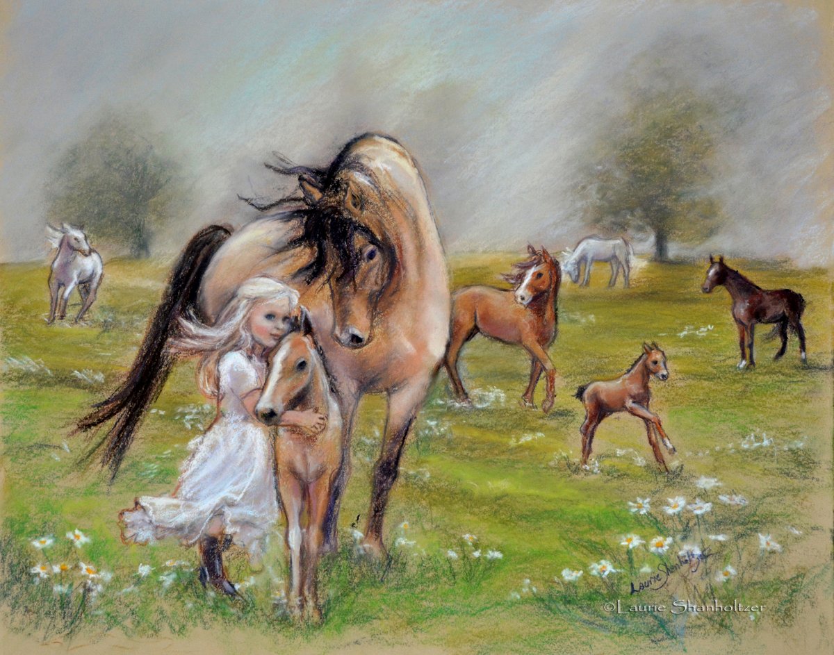 Laurie Shanholtzer tweet media