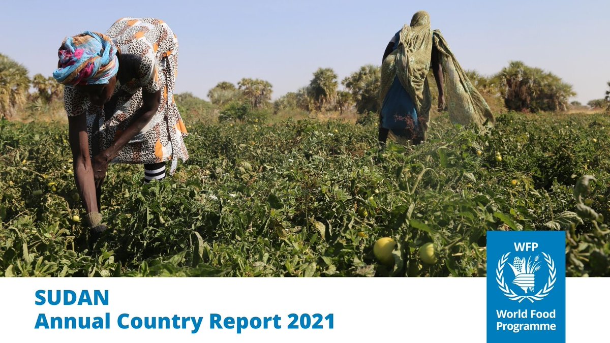 WFP_Sudan's tweet photo. 📢In 2021, @WFP supported nearly 9⃣ million people in #Sudan to access life-saving food and nutrition support, education and livelihood opportunities.
Find out more in @WFP's 2021 Annual Country Report ➡️ https://t.co/VFp3aLk0qX https://t.co/yJCS8Ohb5D