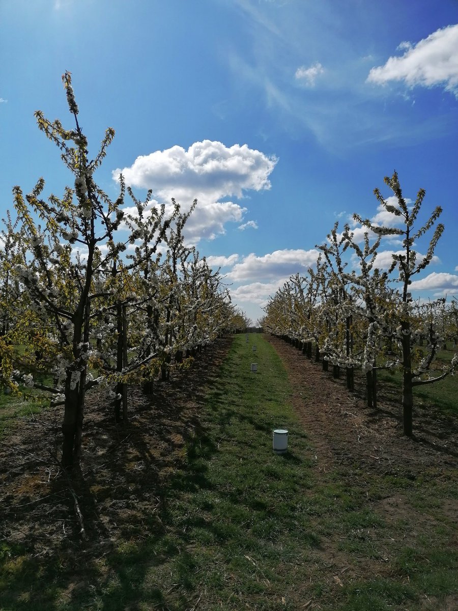 wimkeyen's tweet photo. #vrtweer https://t.co/r8SISy7SIp