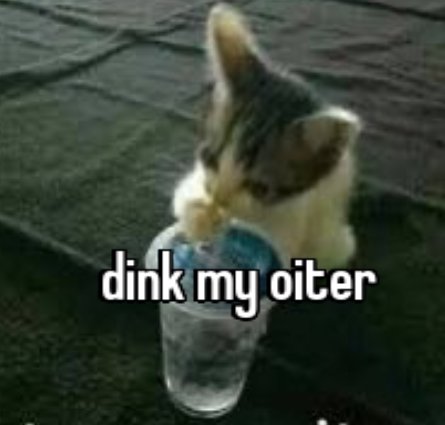 <a href="/HeySamiiLynn/">🧸 ❀ House Cat ❀ 🍓</a>