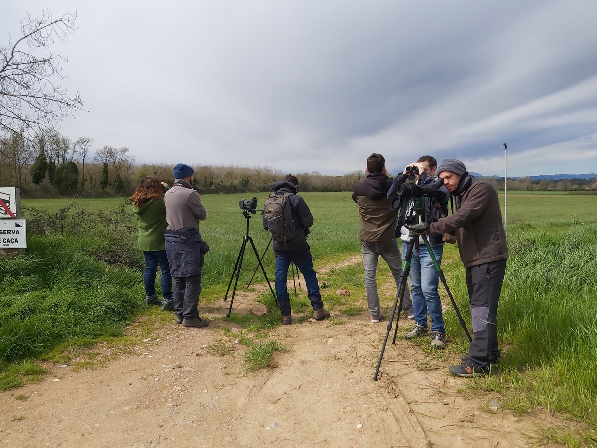 Avui hem sortit a observar ocells per la comarca amb <a href="/somnatus/">Naturalistes Girona</a>