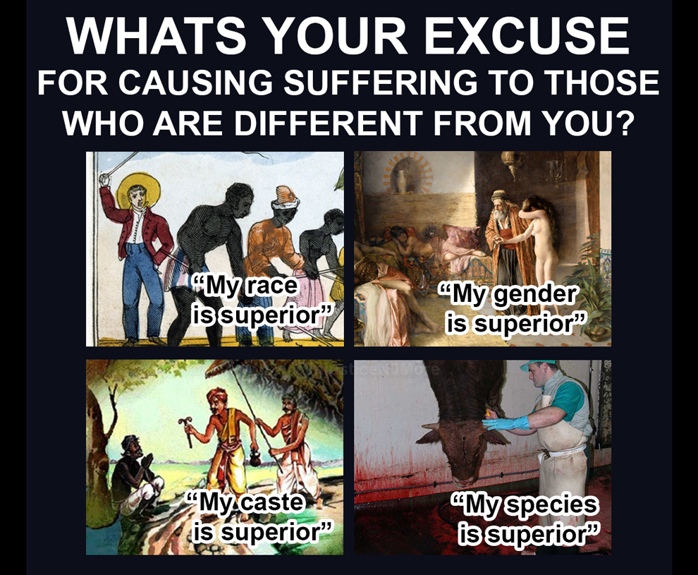 Doomsday__2021's tweet photo. @Forpoptarts1 If I had bloodlust I would be a non-vegan not vegan. I did not call for any death just pointed out flan in your logic but you are calling for the death of others, they just happen to be individuals of other species. Which makes no more difference than them belonging to other race https://t.co/5EX7gAOqDr