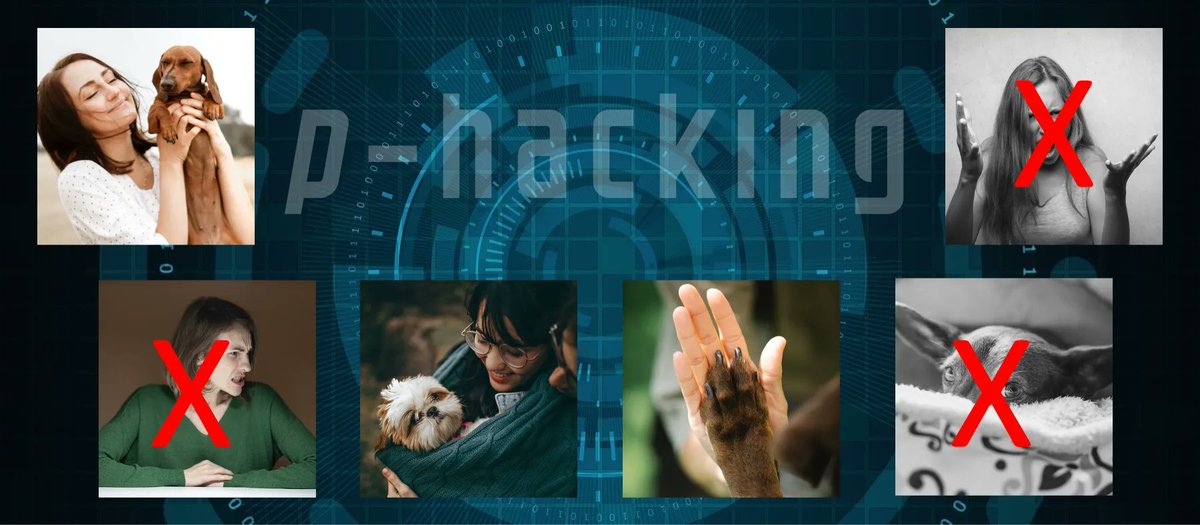 McGillOSS's tweet image. #PHacking explained by @crackedscience, using no complex mathematical jargon. Just #puppies! mcgill.ca/x/Jab