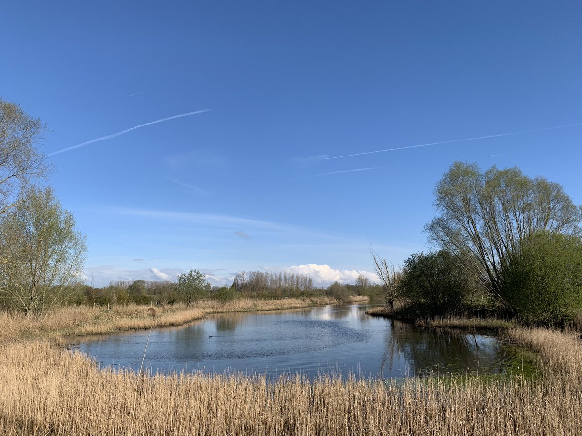 Ochtendstond… 🤩 
Stralende ochtend in Astene om 10u #vrtweer