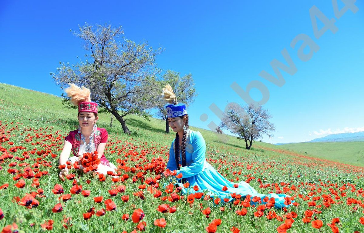 lhpwpc5379's tweet photo. 阿乌利亚”哈萨克语是“神仙居住的地方  @Tiannaymth https://t.co/LfS3HdiXZG