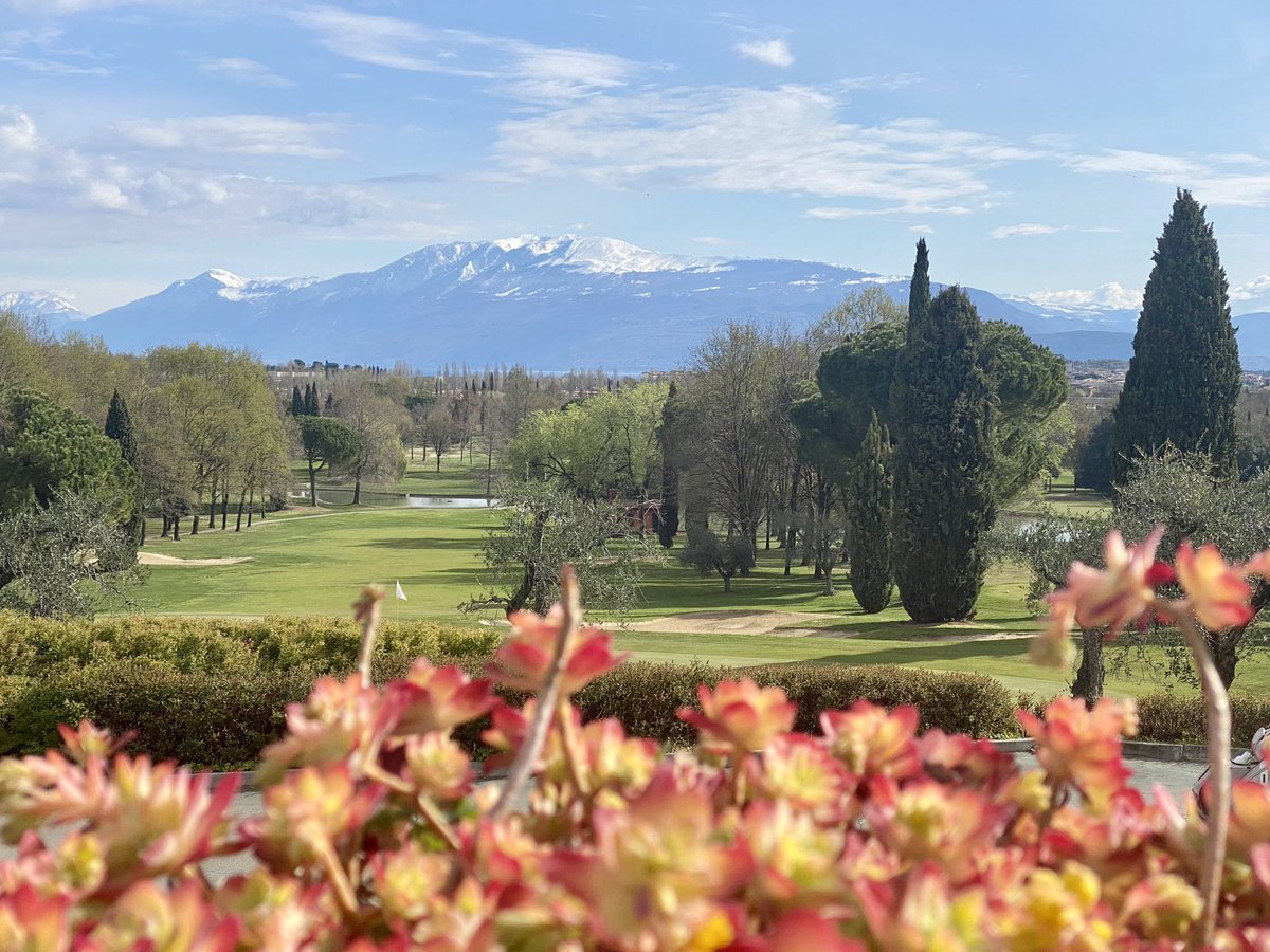 VentoLoris's tweet image. Sunday 3 April, similar in winter but always a great beauty..🥰