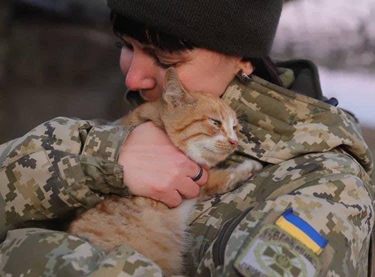Illia Ponomarenko 🇺🇦 (@iaponomarenko) on Twitter photo 