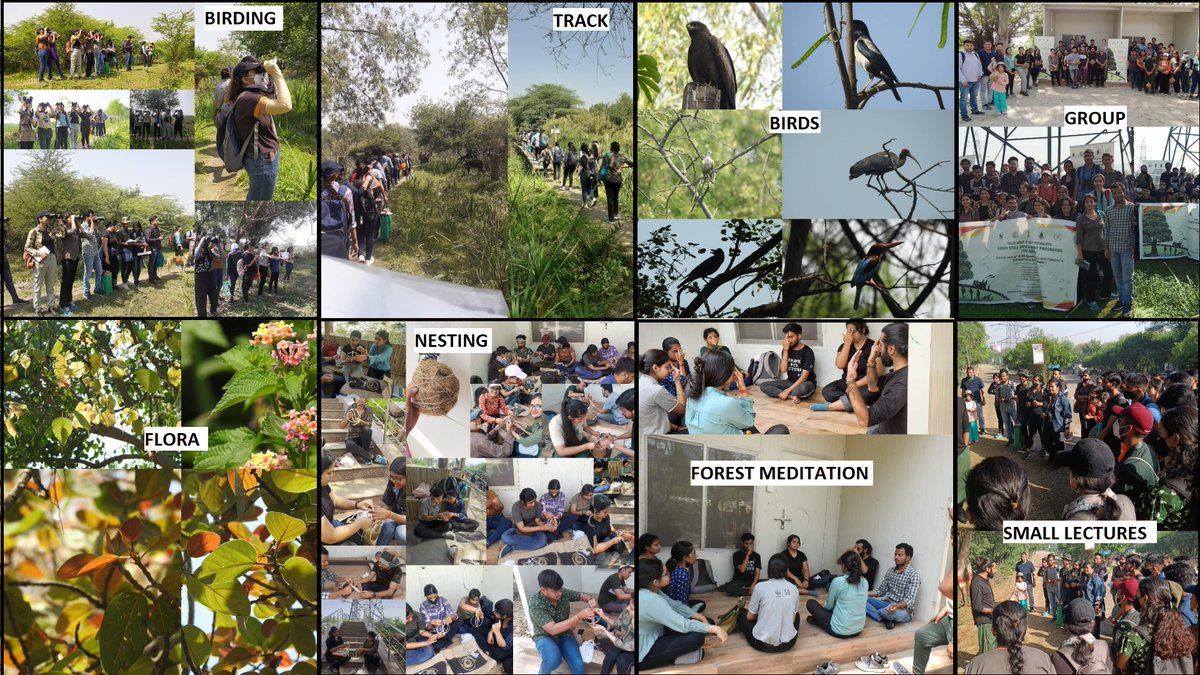 wwf_eiacp's tweet photo. The candidates of GSDP courses  visited Okhla Bird Sanctuary on 2nd April. The bird watching and nesting activities(with Mr. Rakesh Khatri sir) conducted was very fascinating &amp; gave an opportunity to be more close to nature.
@moefcc @WWFINDIA @areendran 
#Birding #widlife #okhla https://t.co/VQ7DM1IdJG