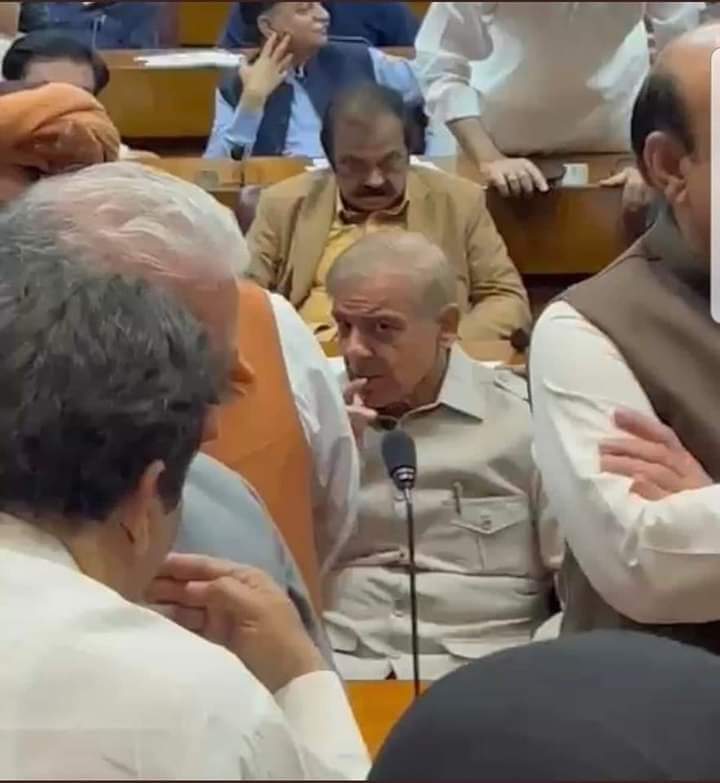 moeezsultann's tweet photo. شہباز شریف شیروانی کو دیکھ کر رو پڑے
#ShahbazSharif https://t.co/lYak1Ak1Gv