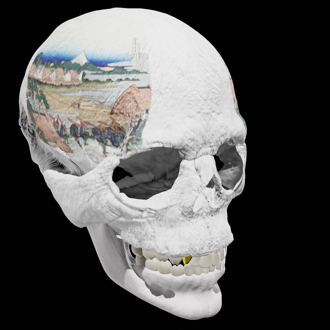 富嶽三十六景🗻　〇/46
Ukiyo-e skull made for profile picture. #NFT #opensea 
opensea.io/assets/0x495f9…