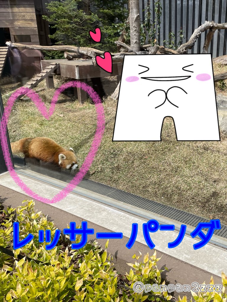 ぱんつーず Twitter Search Twitter ぱんつーず Twitter Search Twitter
